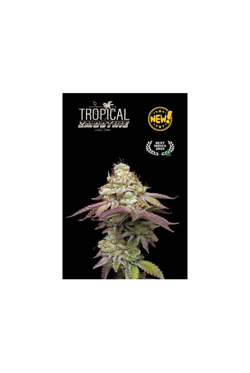 Tropical Zmoothie, Фасовка: 1